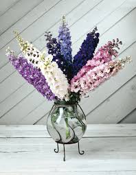 Attēlu rezultāti vaicājumam “Delphinium elatum  flower”