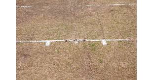 Image result for Blackheath Select Xi Cc, London