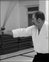 Image result for Sho Shin Kan Aikido Club