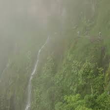 Výsledek obrázku pro yungas