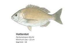 Image result for Pachymetopon grande