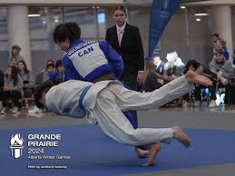 Image result for Redcar Judo Club, Cleveland