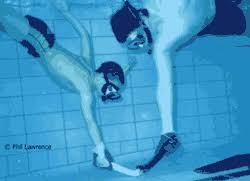 Image result for Coventry Triads Octopush Club