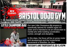 Image result for Bristol Dojo MMA