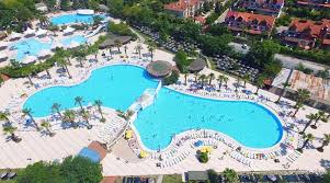 Image result for Dolphin Sub Aqua