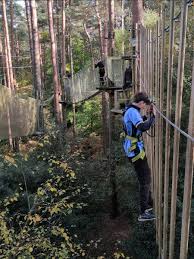 Image result for Go Ape! Alice Holt