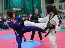 Image result for Leighton Buzzard Tae Kwon-Do Club