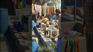 Image result for apupy