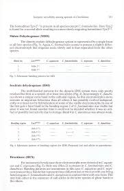 Attēlu rezultāti vaicājumam “Cinclidotus danubicus cells”