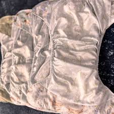 Attēlu rezultāti vaicājumam “Diaperis boleti imago”