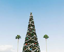 Image result for weihnachten in australien