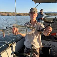 Image result for Polysteganus undulosus