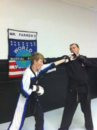 Image result for Northern Freestyle Karate Association