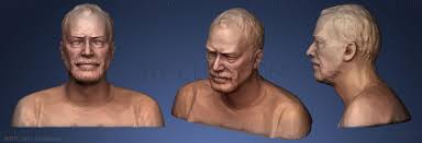 Image result for ton roosendaal