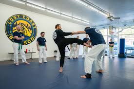 Image result for Sokudo Martial Arts Club