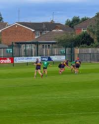 Image result for Green Isle Camogie Club - Players Wanted!