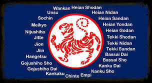 Image result for HEIWA SHOTOKAN KARATE CLUB