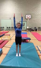 Image result for WALSALL GYMNASTICS CLUB