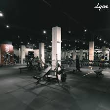 Image result for Lynx Gymnastics Club