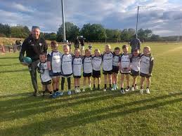 Image result for St Peter`s Gaa