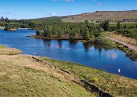 Image result for Airdrie & District Angling Club
