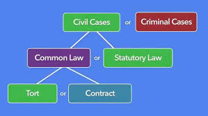 Image result for tort