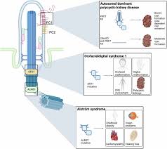 Image result for *X68CHer|http://www.bcpark.net/bbs/317697