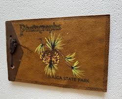 Image result for Peg Perego Aria Twin $330 Jason Priestley