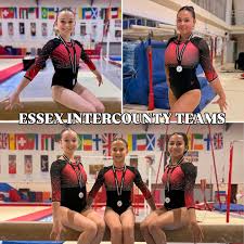Image result for South Essex Gymnastics Club