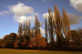 Image result for Coventry Ramblers