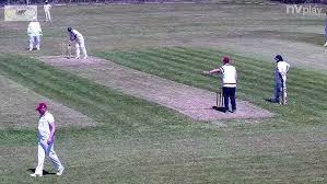 Image result for Almeley Cricket Club