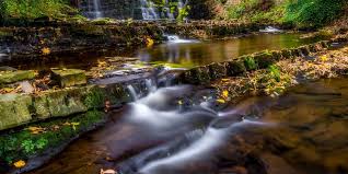 Image result for Ribble Valley Crc