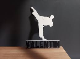 Image result for Valentin Karate