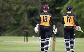 Image result for Downe Cricket Club