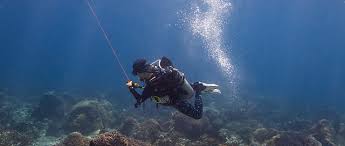 Image result for Scuba Fun