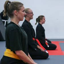 Image result for Imperial Karate Club