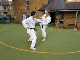 Image result for Thames Valley Karate