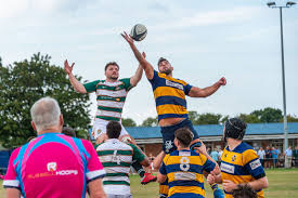 Image result for St Albans Rugby Football Sports & Social Club