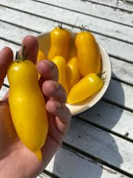 Afbeeldingsresultaat voor banana legs tomato