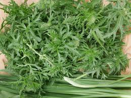 Attēlu rezultāti vaicājumam “Campanula trachelium leaf”