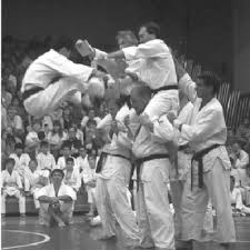 Image result for Chang's Hapkido Club