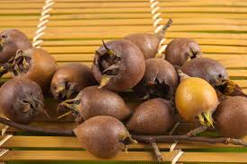 Attēlu rezultāti vaicājumam “Mespilus germanica fruit”