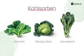 Image result for Grünkohl