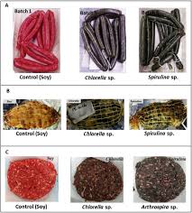 Attēlu rezultāti vaicājumam “Empis sp.”