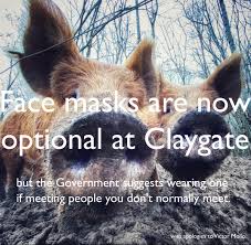 Image result for Claygate Bridge Club