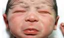 The new newborns  photographs of babies in the first hour of life