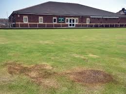 Image result for Middlesbrough Bowling Club