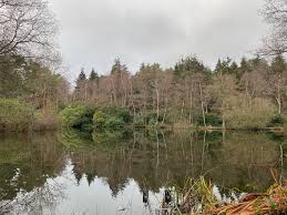 Image result for Cobham Court Angling Club