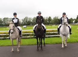 Image result for omagh harriers