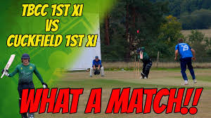 Image result for Three Bridges Cricket Club